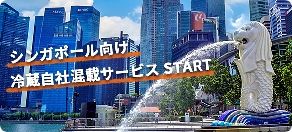 シンガポール向け 冷蔵自社混載サービス START